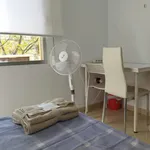 Rent 4 bedroom apartment in Valencia