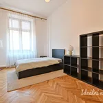 Rent 3 bedroom apartment of 135 m² in Brno