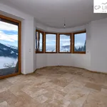 Rent 3 bedroom apartment of 100 m² in Wildschönau