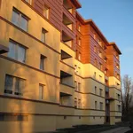 Rent 3 bedroom apartment of 73 m² in Dortmund