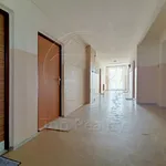 Rent 1 bedroom apartment in Sokolov