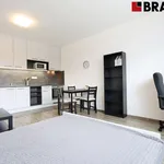 Rent 1 bedroom apartment of 28 m² in Brno