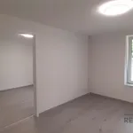 Pronájem, Dům, Rodinný, Atypický for rent in Dubňany