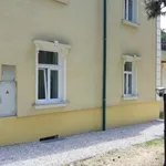 Rent 1 bedroom apartment of 538 m² in vienna