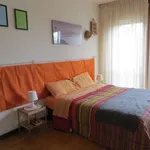 Rent a room in padua