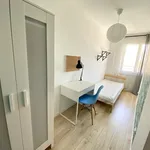 Rent 1 bedroom apartment of 10 m² in Pokój dla studenta/osoby pracującej - Katowice