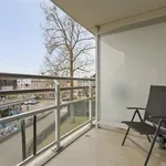 Rent 1 bedroom apartment of 90 m² in Arnhem