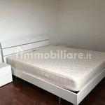 Rent 3 bedroom apartment of 60 m² in Bologna