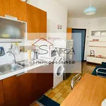 Rent 1 bedroom apartment of 35 m² in Padova