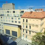 Rent 3 bedroom apartment in Brno