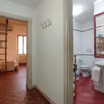 Rent 1 bedroom apartment of 50 m² in florence