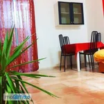 Rent 3 bedroom apartment of 60 m² in Naples