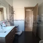 Rent 2 bedroom apartment of 60 m² in Siracusa