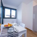 Rent 5 bedroom apartment of 100 m² in Paradiso