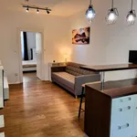 Pronajměte si 1 ložnic/e byt o rozloze 45 m² v prague