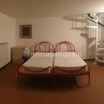 Rent 3 bedroom apartment of 100 m² in Pisa