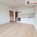 Rent 2 bedroom apartment of 34 m² in Prague