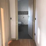 Rent 3 bedroom apartment of 80 m² in Ferrara