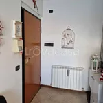 Rent 2 bedroom apartment of 45 m² in Perugia