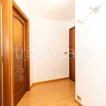 Rent 2 bedroom apartment of 40 m² in Torino