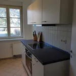 Rent 2 bedroom apartment of 45 m² in Berlin