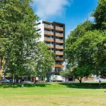 Rent 1 bedroom apartment in Auckland