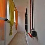 Rent 4 bedroom apartment in valencia