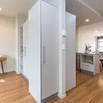 Rent 3 bedroom house in Auckland