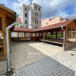 Rent 1 bedroom apartment in Teplice