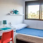 Alquilar 6 dormitorio apartamento en Valencia