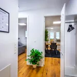 Rent 1 bedroom apartment in Wien