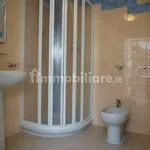 Rent 1 bedroom apartment of 28 m² in Bologna