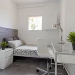 Rent a room in Valencia