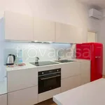 Rent 1 bedroom apartment of 50 m² in Milano