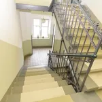 Rent 3 bedroom apartment of 65 m² in Chemnitz