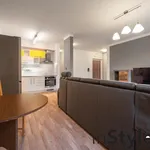 Rent 2 bedroom apartment of 39 m² in Brno