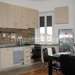 Rent 2 bedroom apartment of 59 m² in Turin