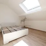 Huur 4 slaapkamer huis van 250 m² in MONTIGNIES-SUR-SAMBRE