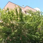 Rent 3 bedroom apartment of 80 m² in Rome