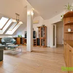 Rent 1 bedroom apartment of 202 m² in Prague