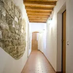 Rent 2 bedroom apartment of 40 m² in Firenze