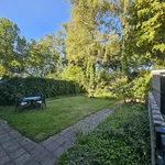 Rent 3 bedroom house of 126 m² in deventer