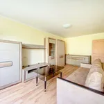 Rent 1 bedroom apartment of 33 m² in Vilnius