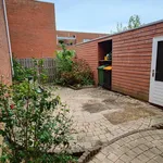 Rent 4 bedroom house of 90 m² in De Vissen