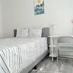 Rent 1 bedroom apartment in Spring Valley