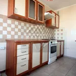 Rent 1 bedroom apartment of 31 m² in Głogów