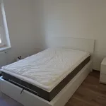 Miete 1 Schlafzimmer wohnung von 54 m² in Hanover