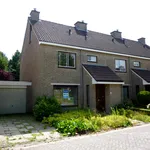 Rent 3 bedroom apartment of 142 m² in Emmen