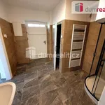 Rent 2 bedroom apartment of 47 m² in Teplá