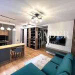 Rent 2 bedroom apartment of 56 m² in Bucuresti